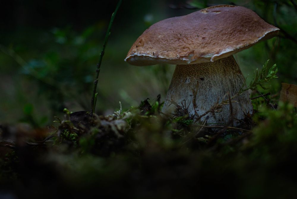 Photograph by Кокорин Алексей