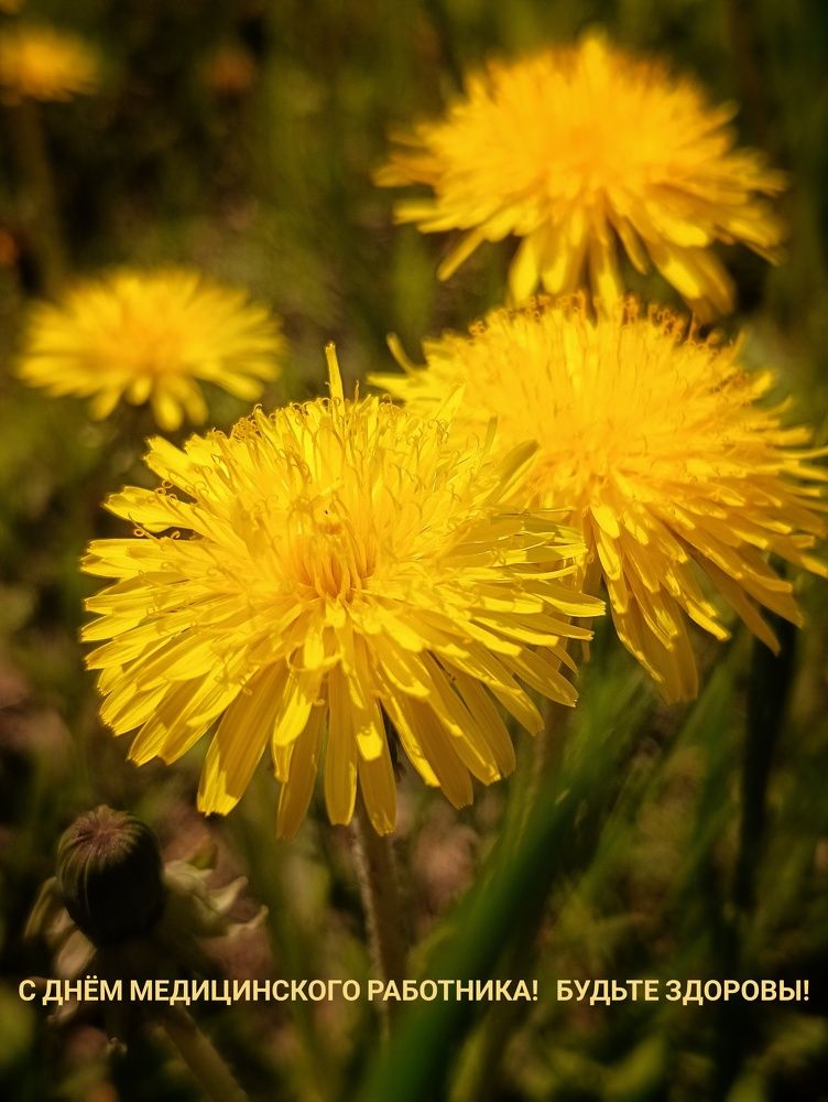 Photograph by Оксана Радзиевская