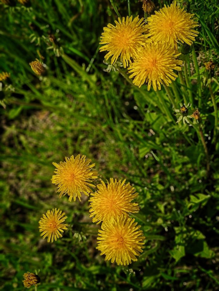 Photograph by Оксана Радзиевская