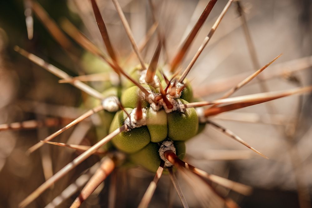 Photograph by luciana zapatero