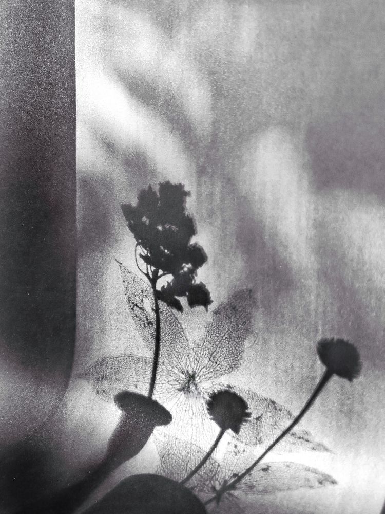 Photograph by Natalia Sopoćko