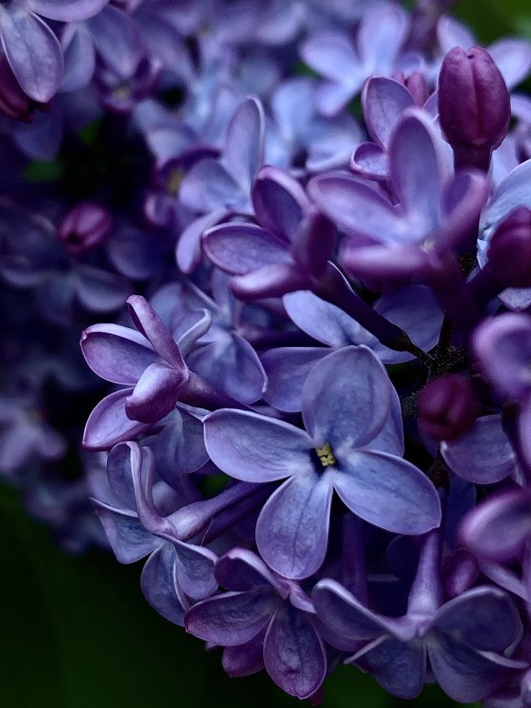 Photograph by Евгения Казакова