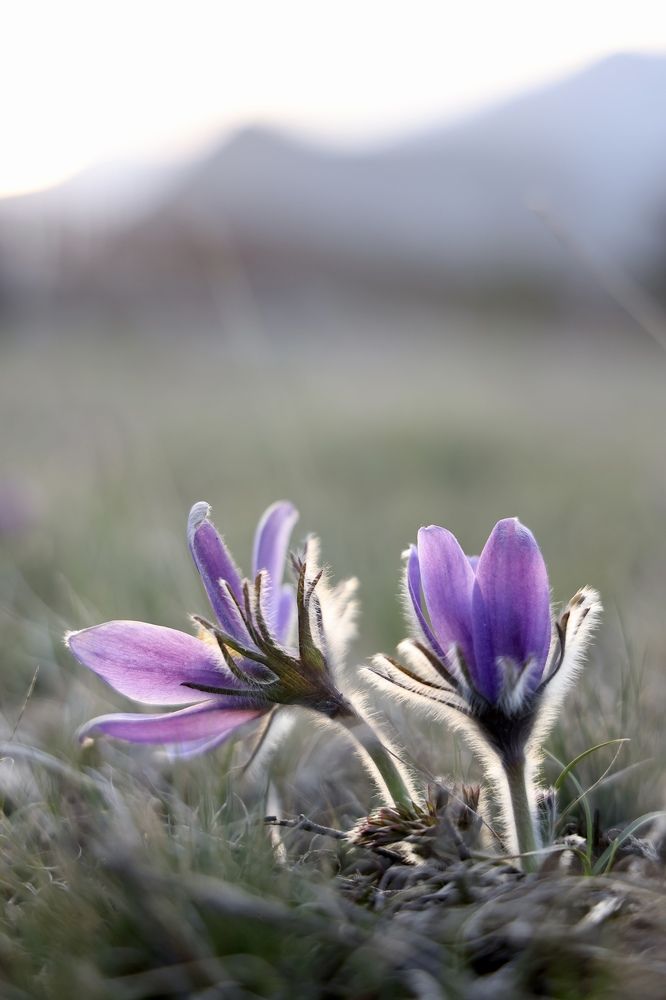 Photograph by Евгения Казакова