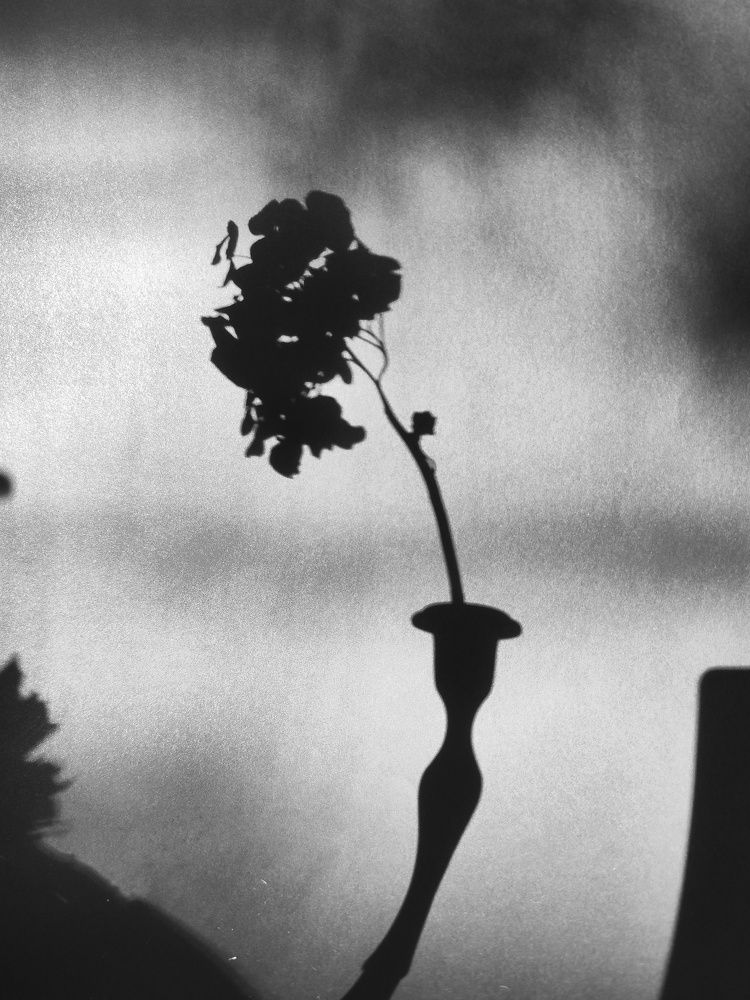 Photograph by Natalia Sopoćko