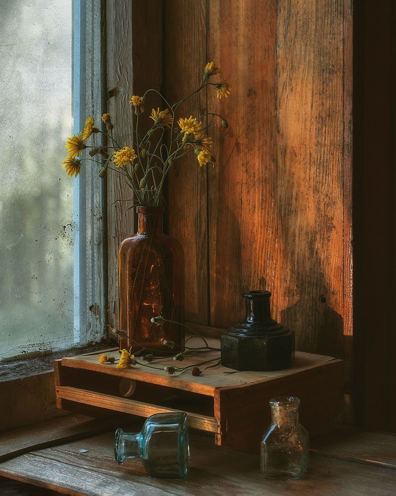 Фотография автора Виктория Шаманова