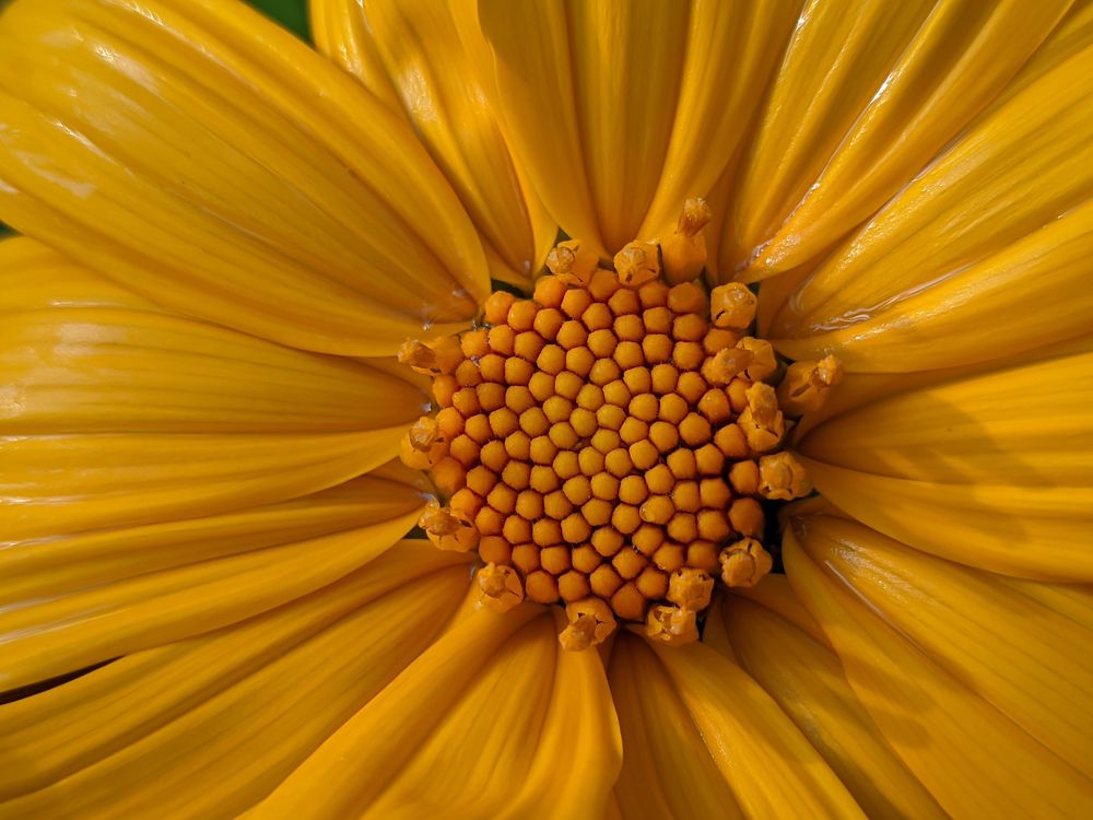 Photograph by Vijayakumar