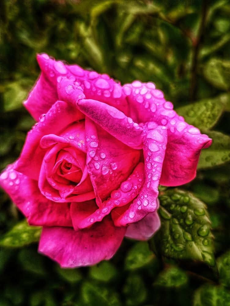 Photograph by Оксана Радзиевская