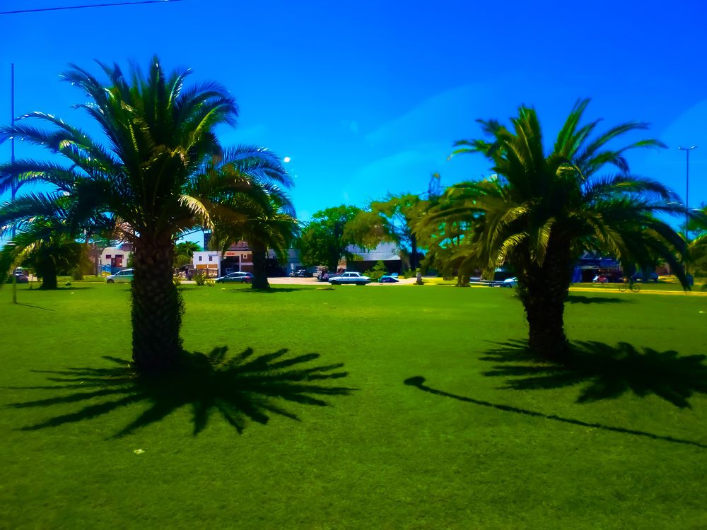 Photograph by Maria Julieta ZURZOLO