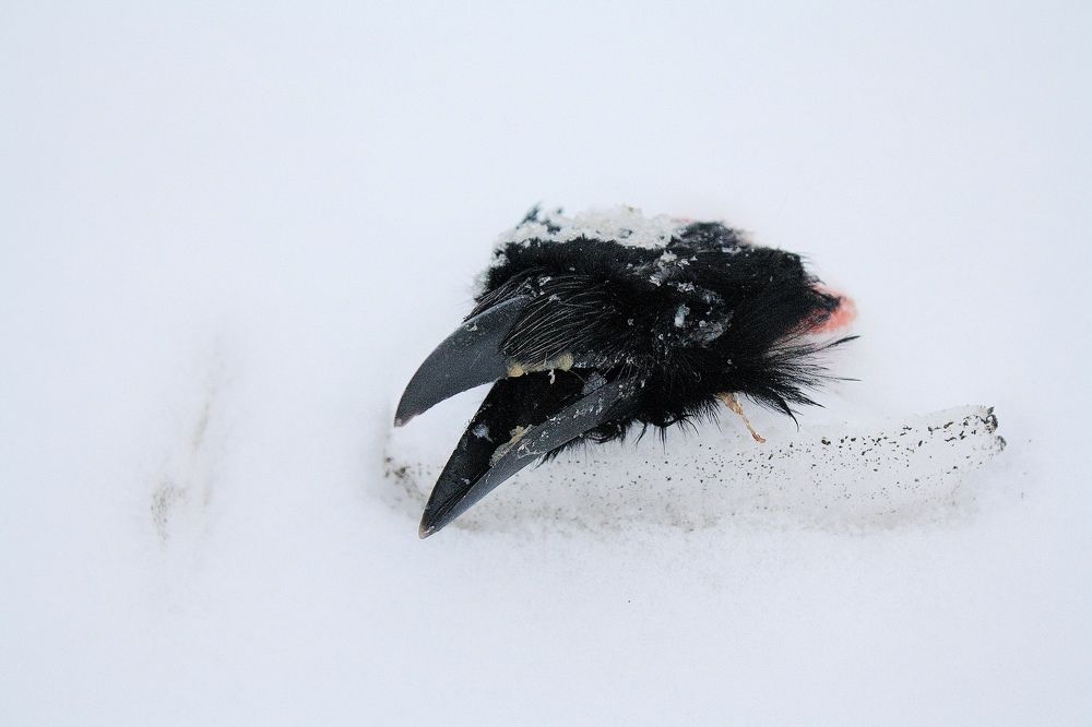 Photograph by Серёга Ануфриев