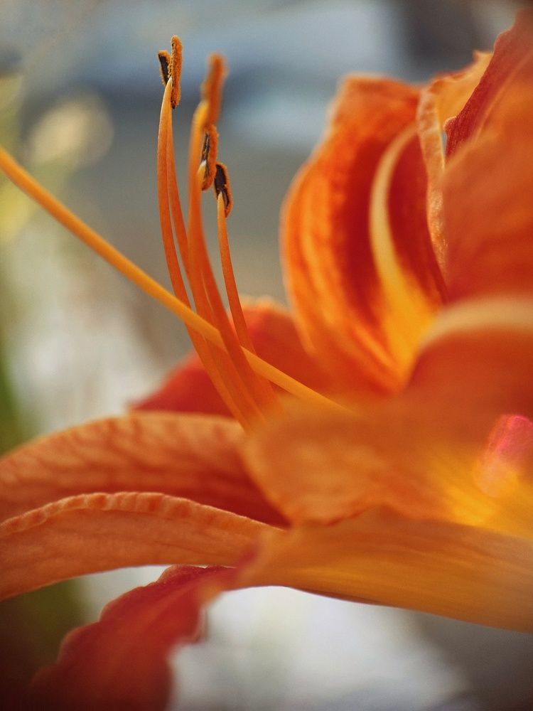 Photograph by Ольга Юминова