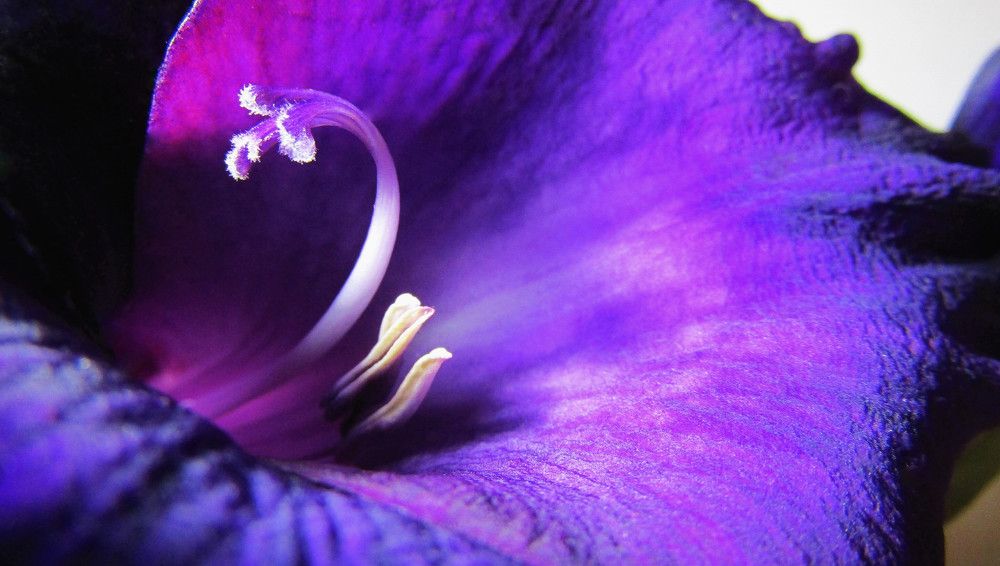 Photograph by Надежда Дергунова