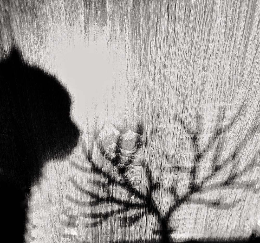 Photograph by Irina Luidinshina