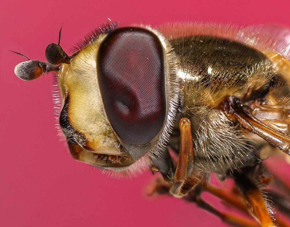 Photograph by hossein karimi laghab