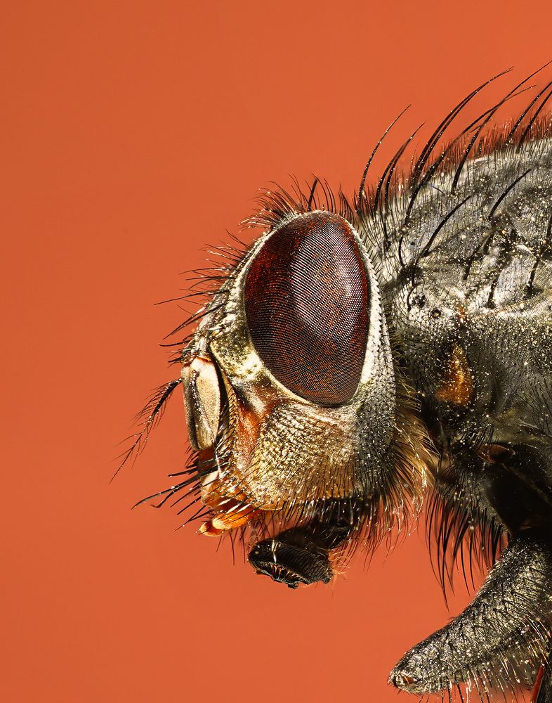 Photograph by hossein karimi laghab