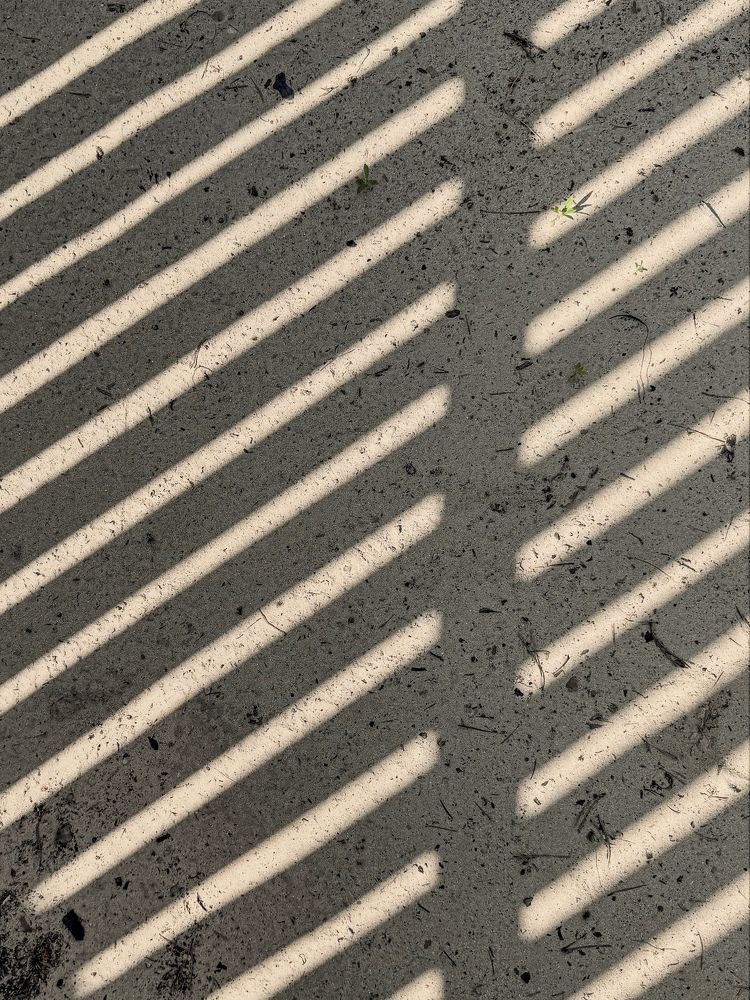 Photograph by Ольга Филатова