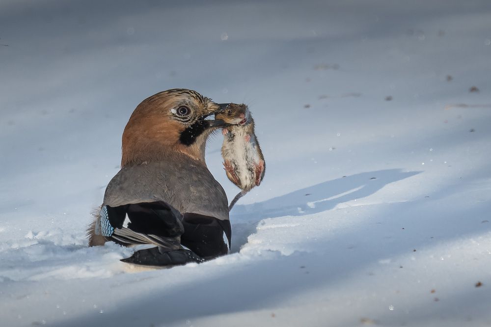Photograph by Вячеслав Ладанов