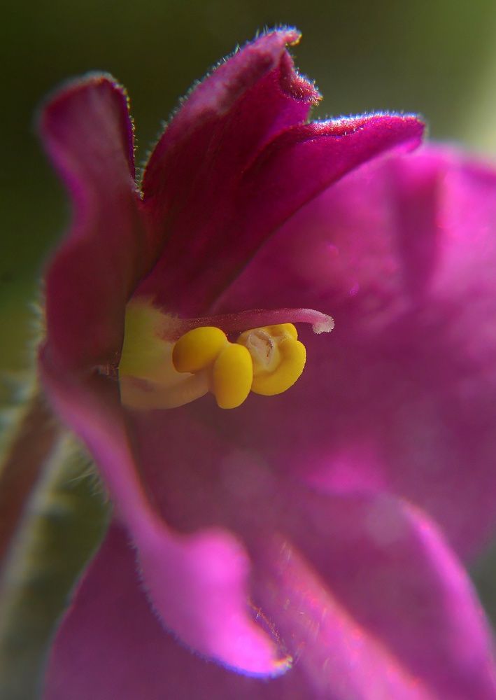 Photograph by Алексей Volg