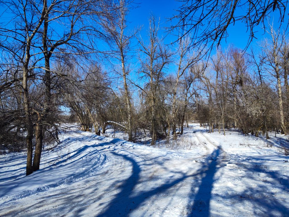 Photograph by Ирина Шибитова