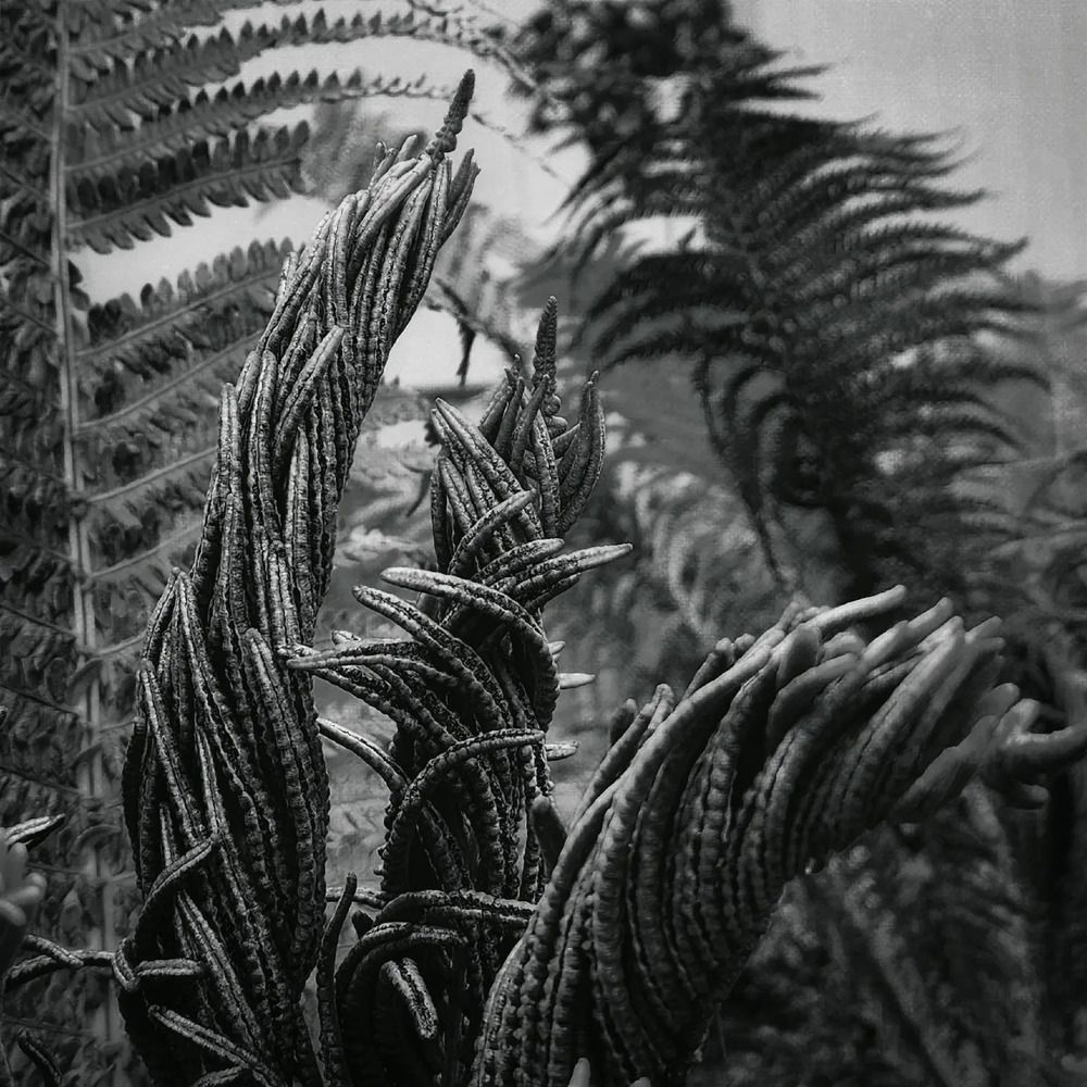 Фотография автора Татьяна