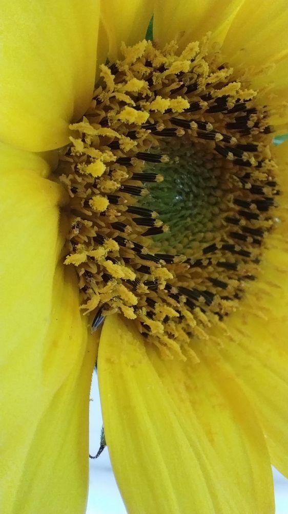 Photograph by Анастасия Липаткина