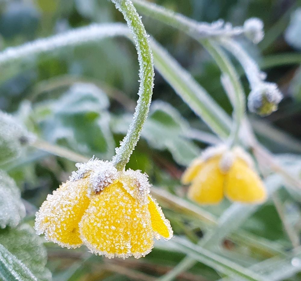 Photograph by Жанна Регор