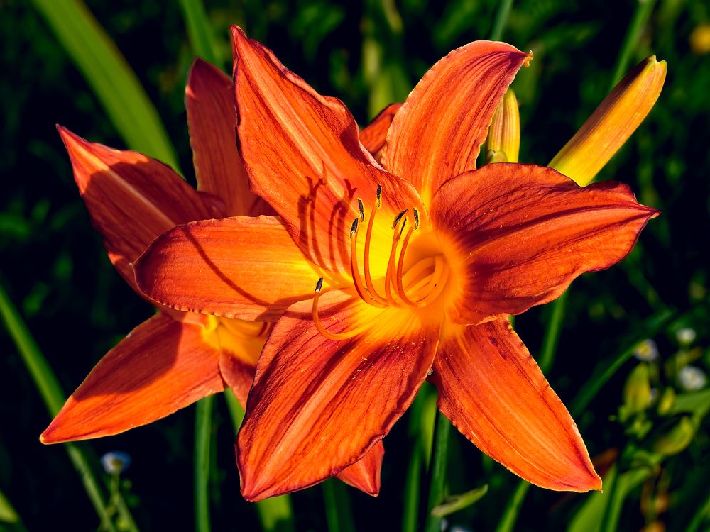 Photograph by Вячеслав Белов