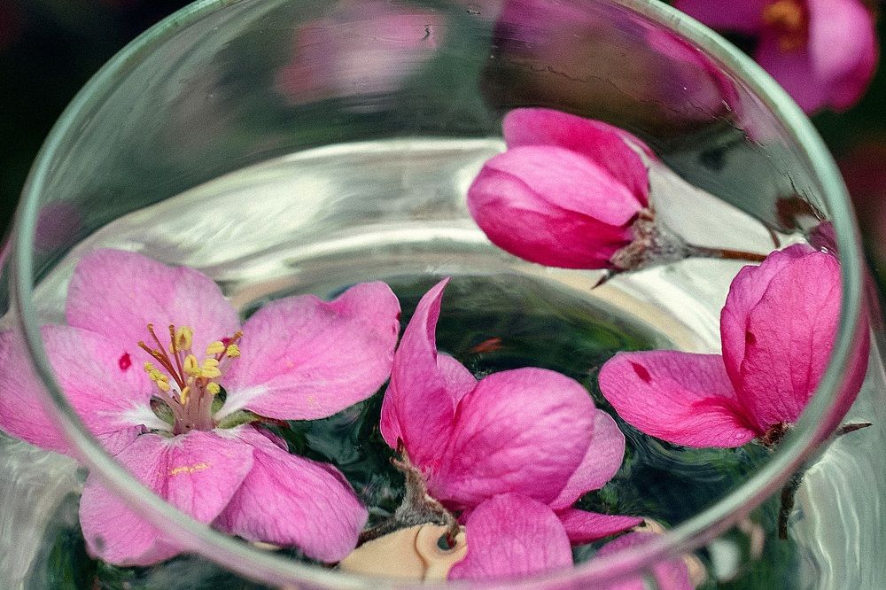 Photograph by Елена Квасова