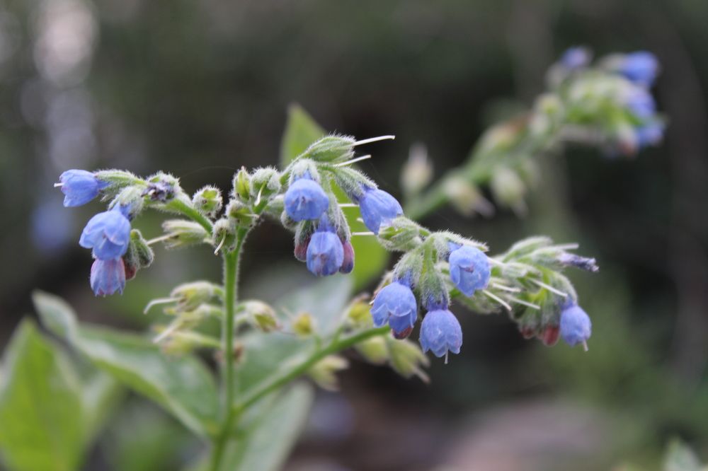 Photograph by София