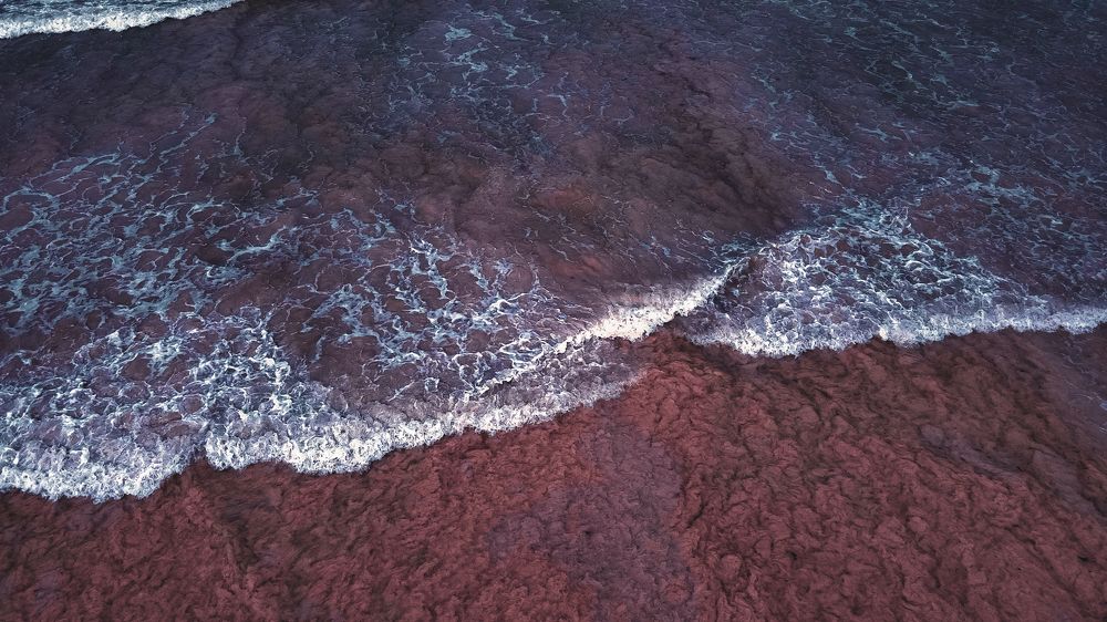 Photograph by Trivet Antony