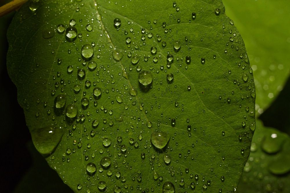 Photograph by Алексей Соймин