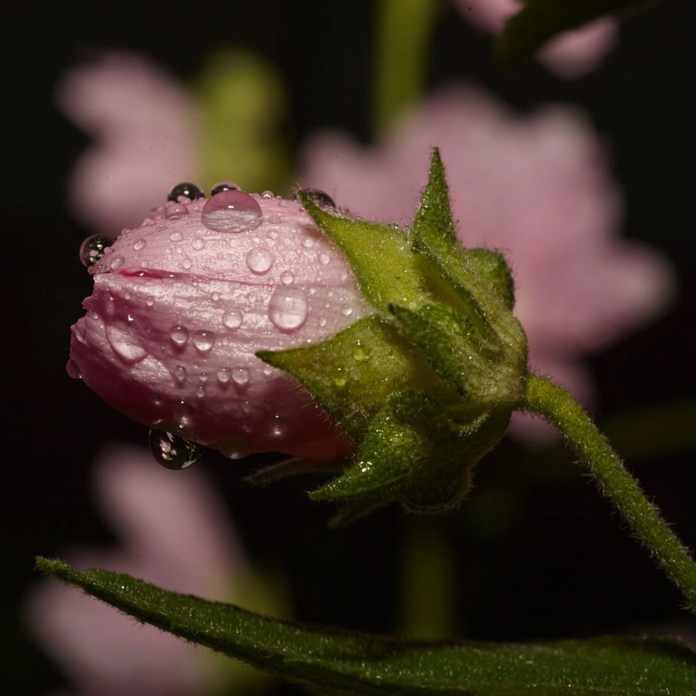 Photograph by Алексей Соймин