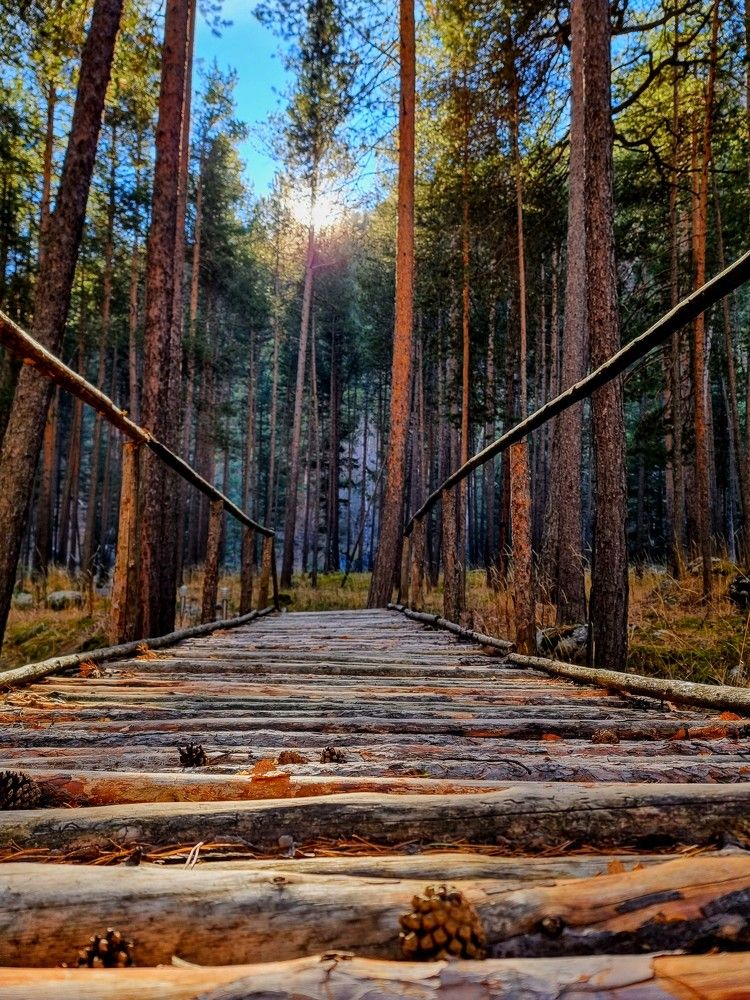 Photograph by Лидия Лащева