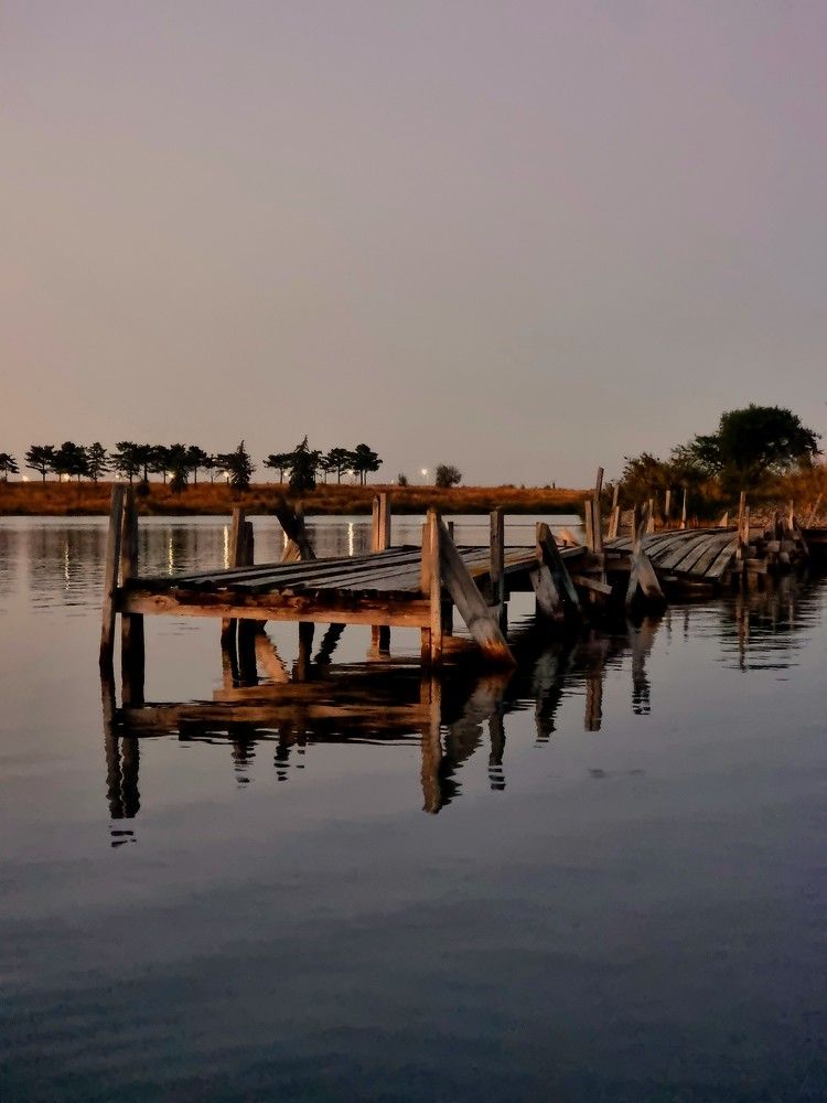 Photograph by Лидия Лащева