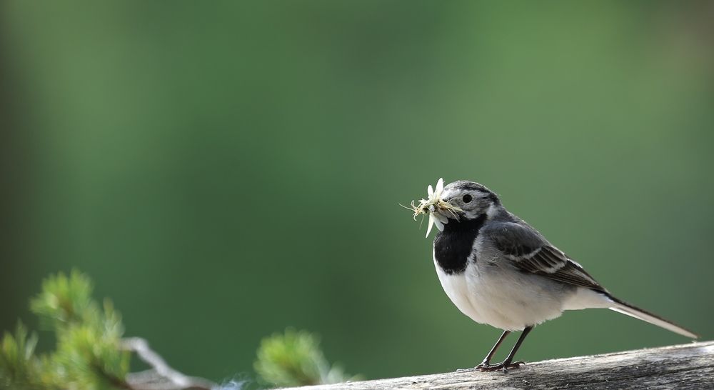 Фотография автора Юрий Кетель