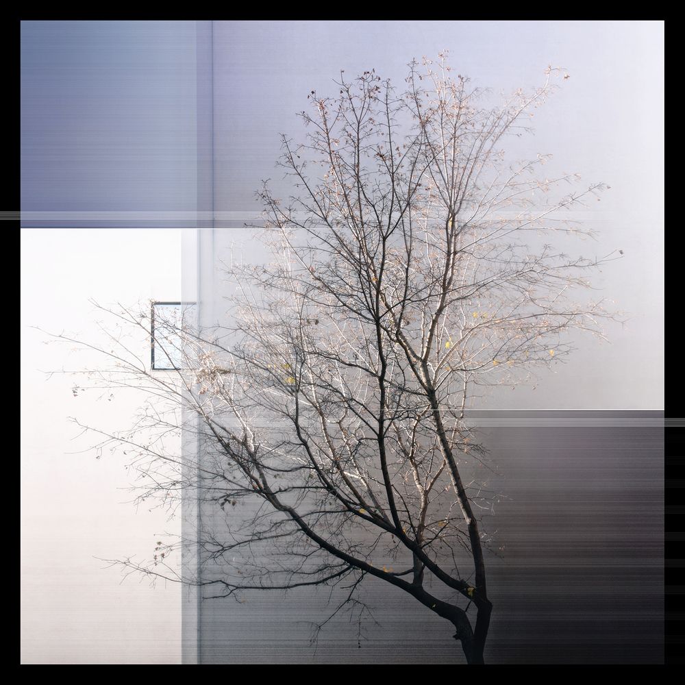 На фоне одинокого окна