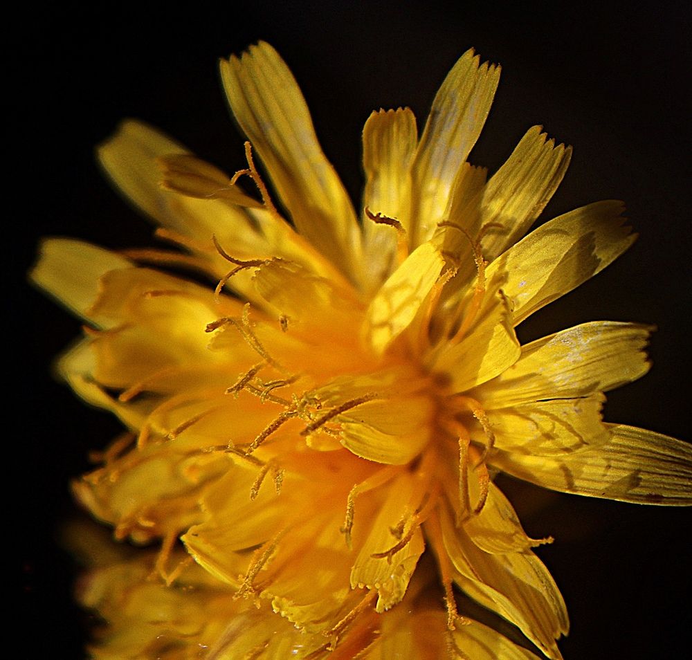 Photograph by Ирина Садовникова