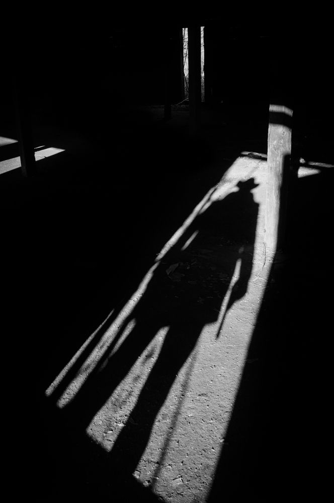 Photograph by Dragan Leles