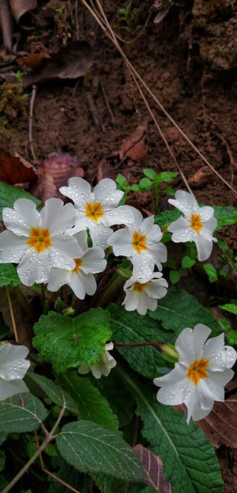 Photograph by Ahmad Yazarloo