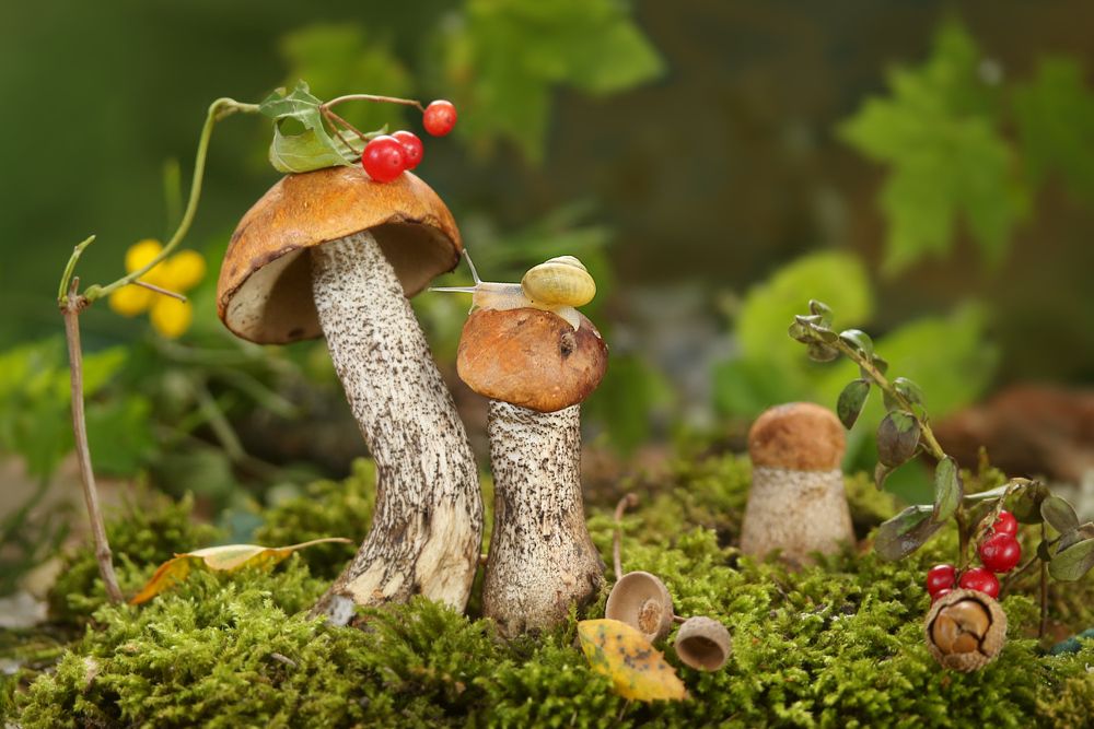 Photograph by Шруб (Беляева) Татьяна