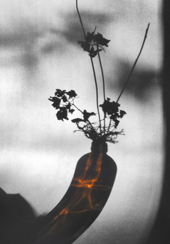 Photograph by Natalia Sopoćko