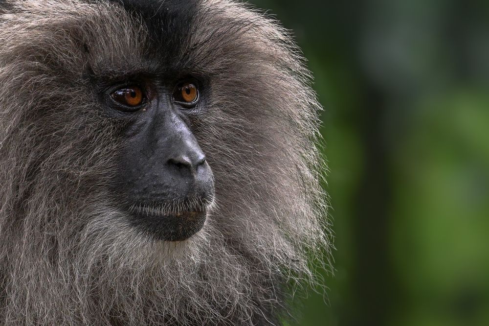 Photograph by Nabarun Majumdar