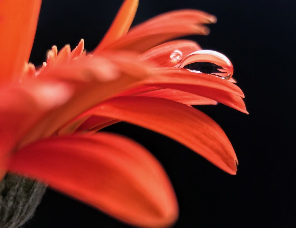 Photograph by Новикова Елена Сергеевна