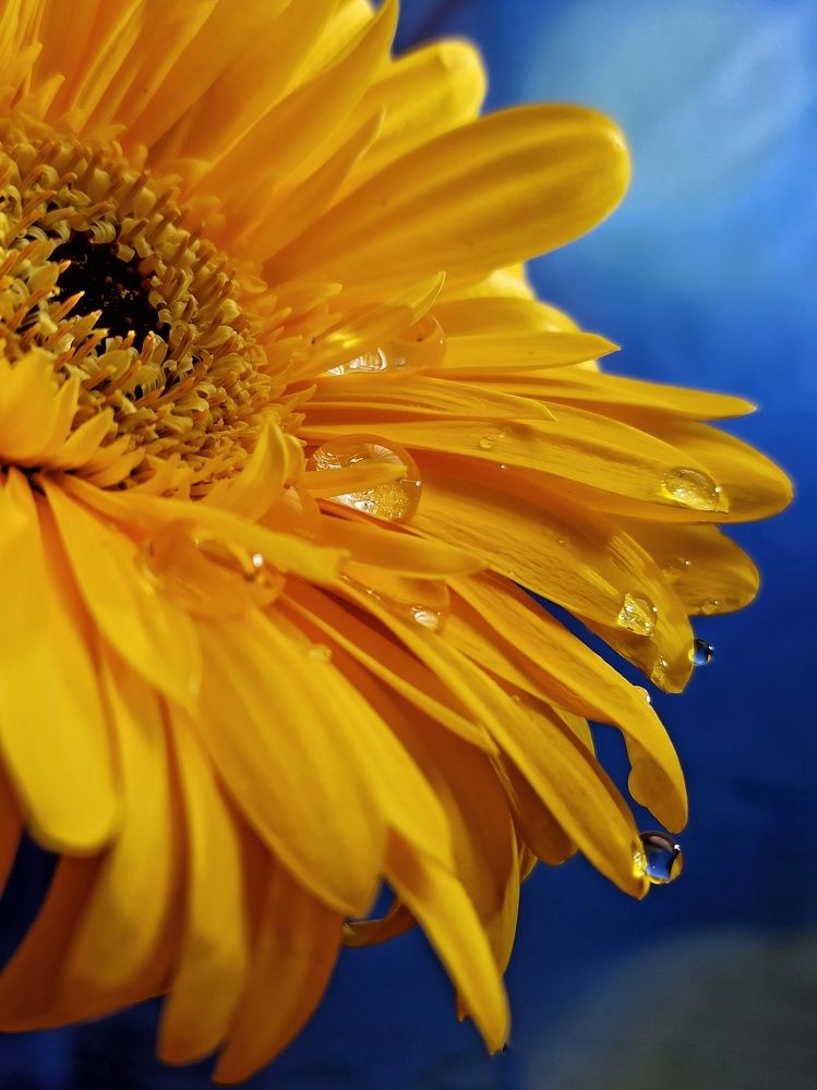 Photograph by Новикова Елена Сергеевна