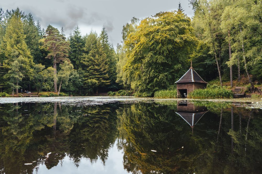 Photograph by Mohammad Al-Amr