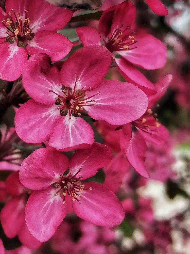 Photograph by Новикова Елена Сергеевна