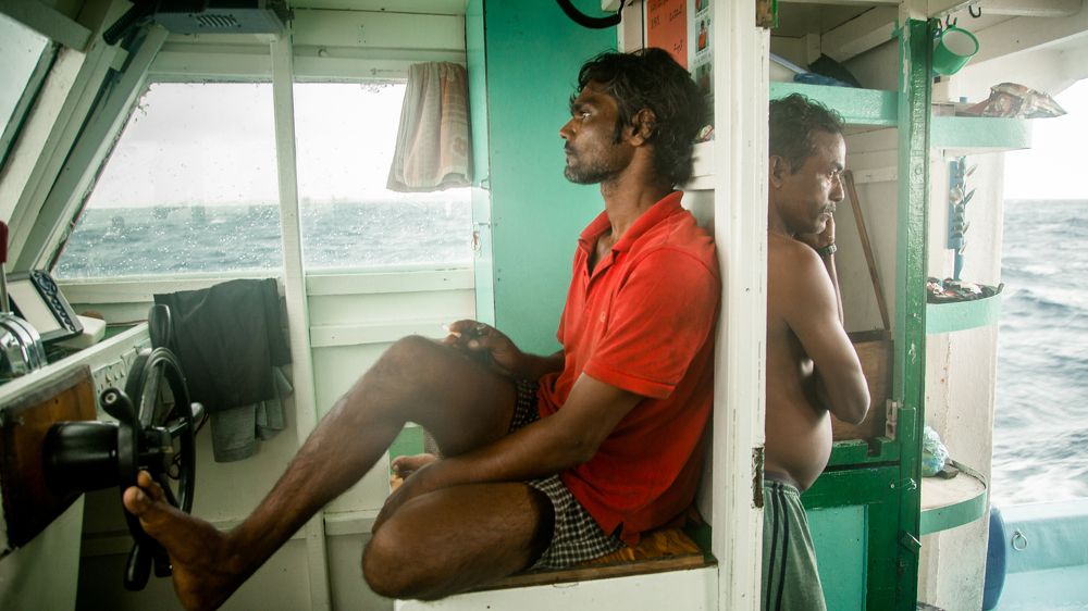 Фотография автора Mariia Trofimova