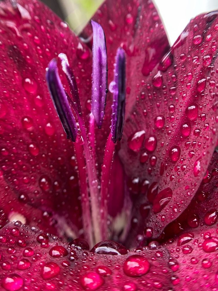 Photograph by Станислава Садыкова