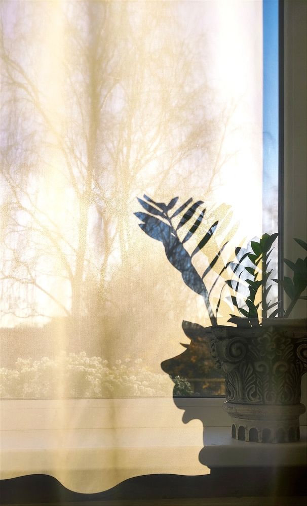 Фотография автора Яна Сергеева