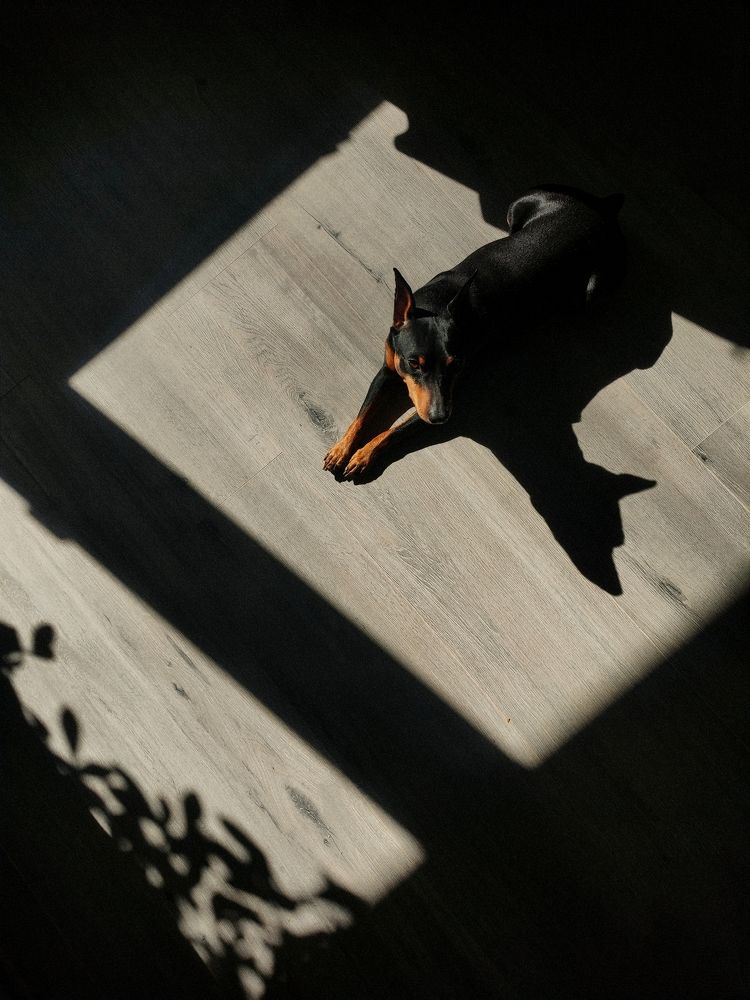 Фотография автора Яна Сергеева