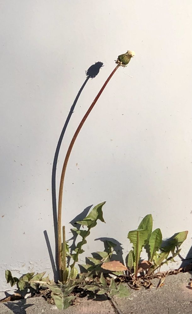 Photograph by Галина Пименова